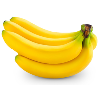 Banana Cavendish